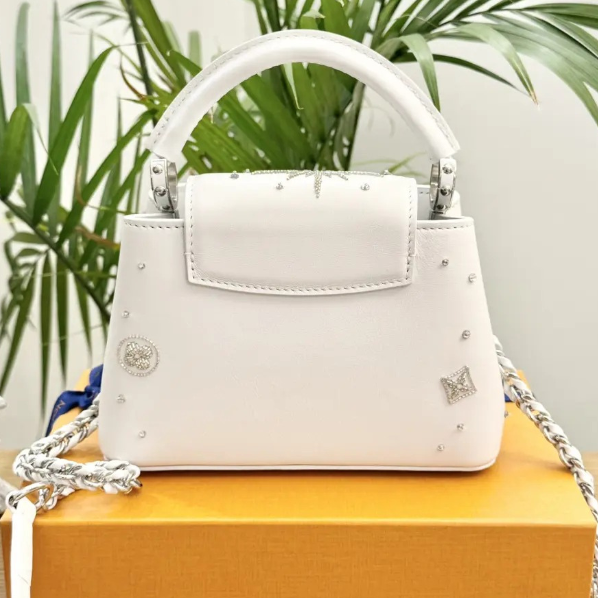 LOUIS VUITTON CAPUCINES MINI BAG