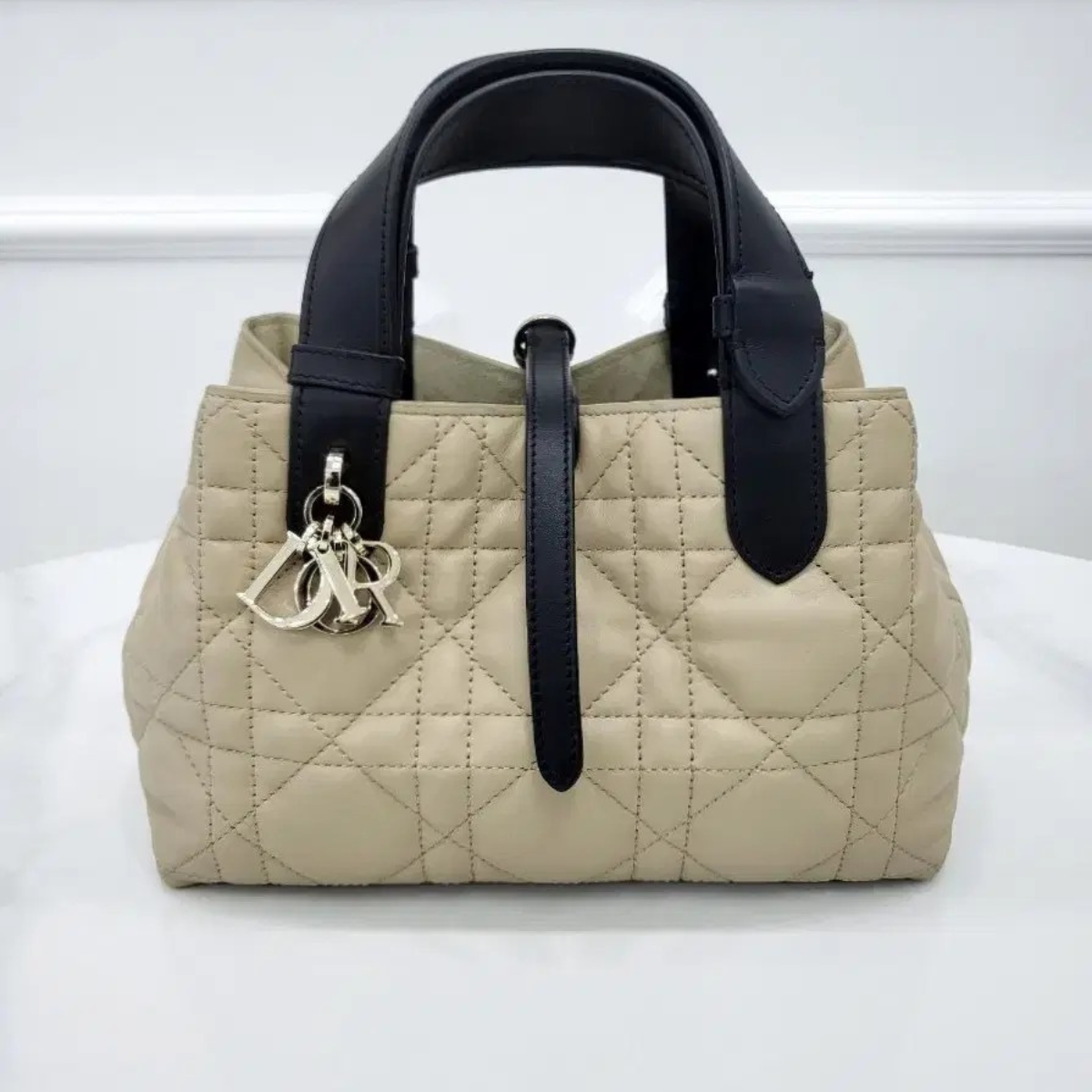 DIOR TOUJOURS SMALL BAG