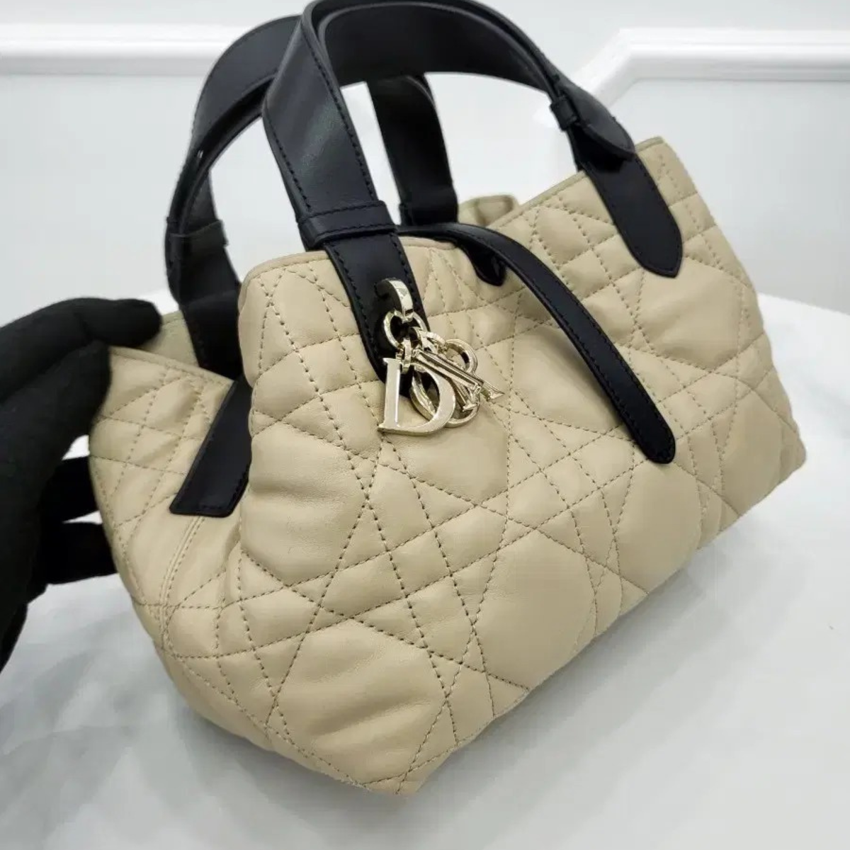 DIOR TOUJOURS SMALL BAG
